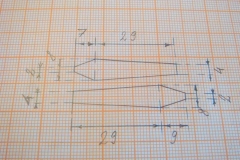 gvozdik_1