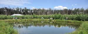 рыбалка бисерово