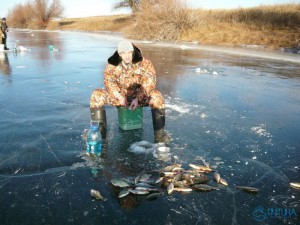 рыбалка на ахтубе зимой