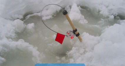 ловля на жерлицу