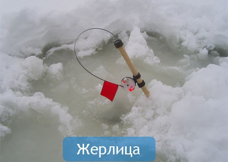 ловля на жерлицу