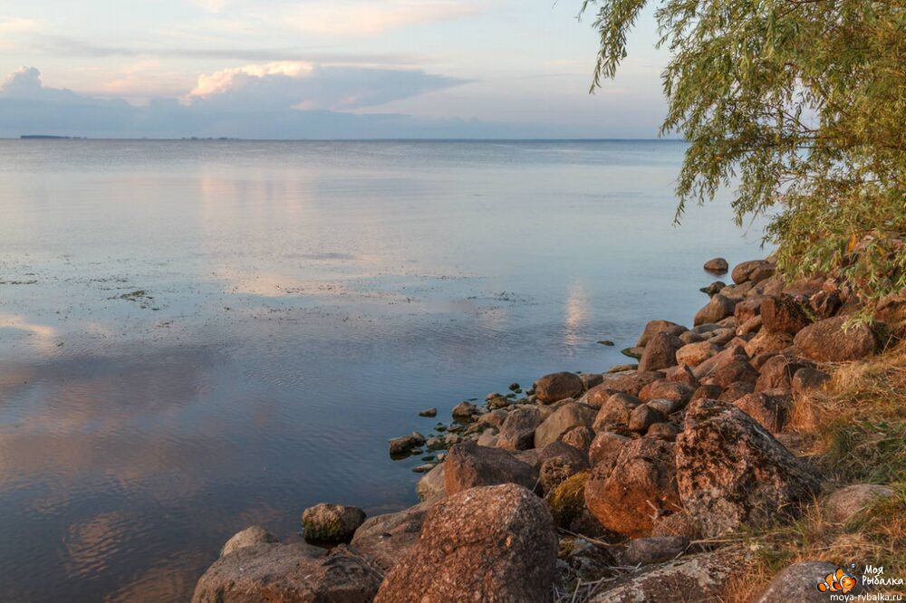рыбалка на Псковском озере сегодня