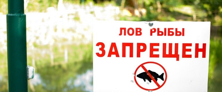 Нерестовый запрет 2017 Московская область