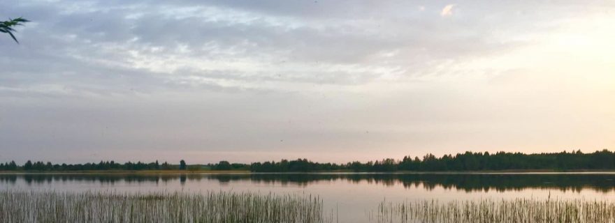 рыбалка в витебской области