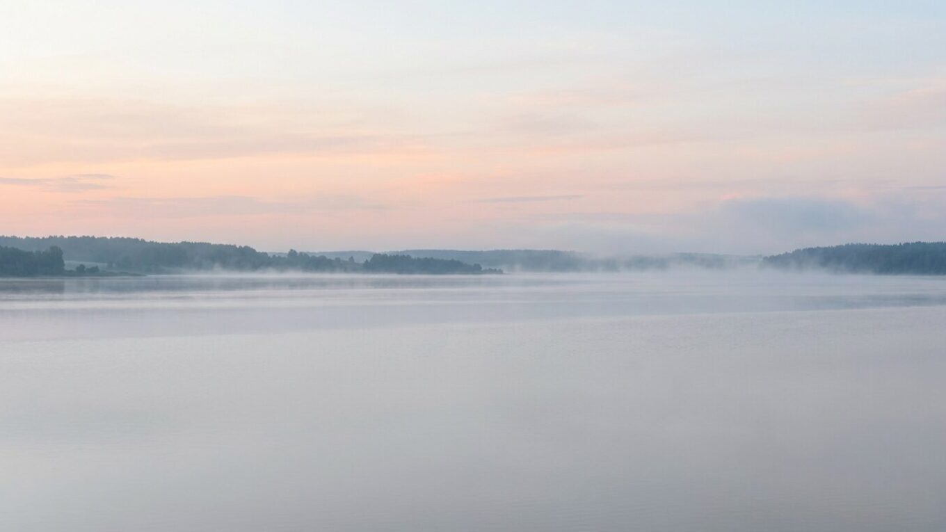 Туман над широкой водой и низкий лесной берег на розовом рассвете